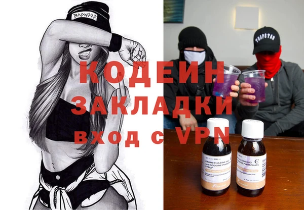 индика Тавда