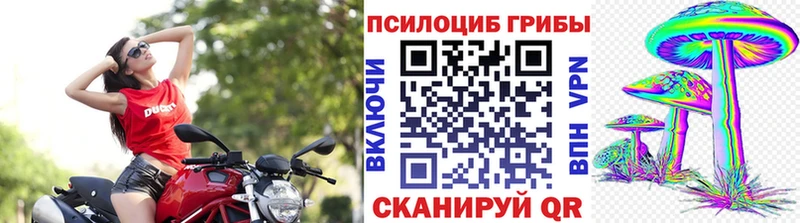 Галлюциногенные грибы MAGIC MUSHROOMS  Камышин 